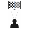 Observer viewing a sharp and blurred checkerboard